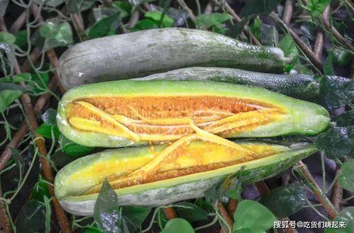 雷州网红吃瓜 第3张 雷州网红吃瓜 第3张